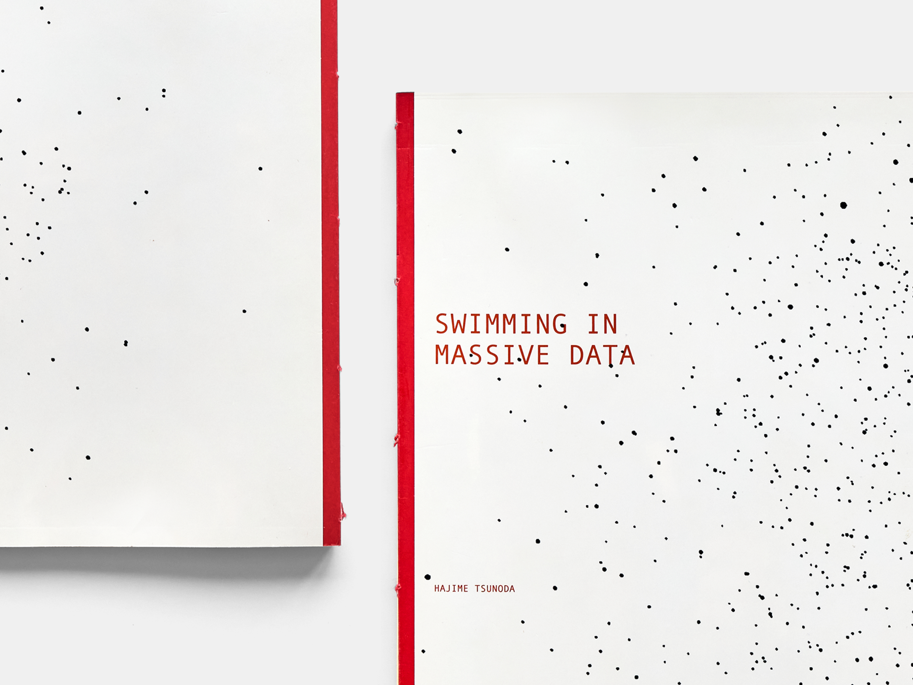 Swimming in Massive Data の画像 2