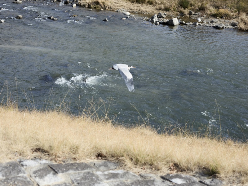 ARK023 (DJ is a function EP) Thumbnail 6