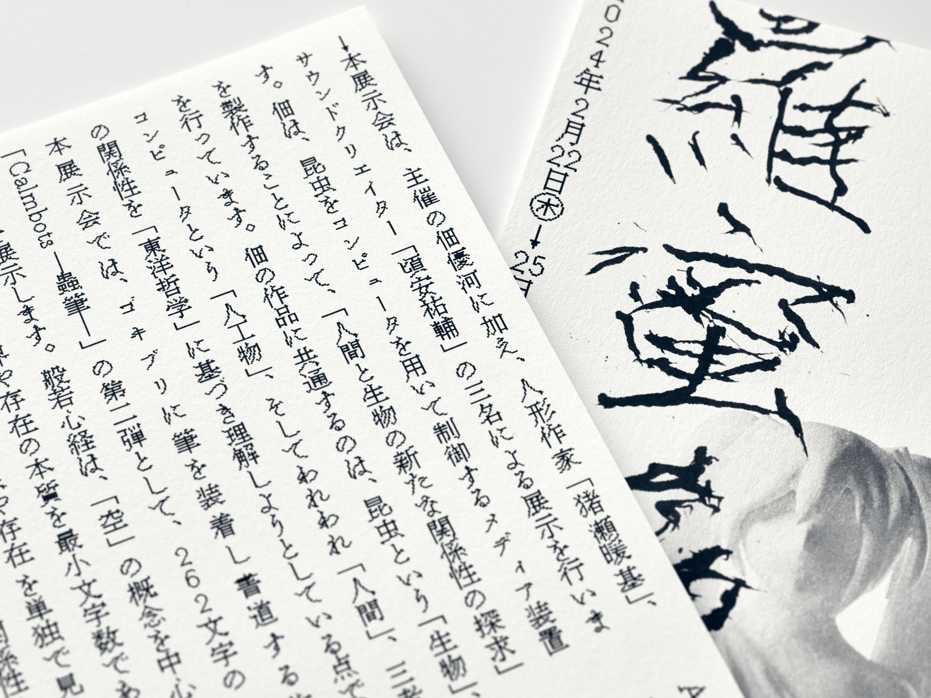 響き煌めく境界線 の画像 4