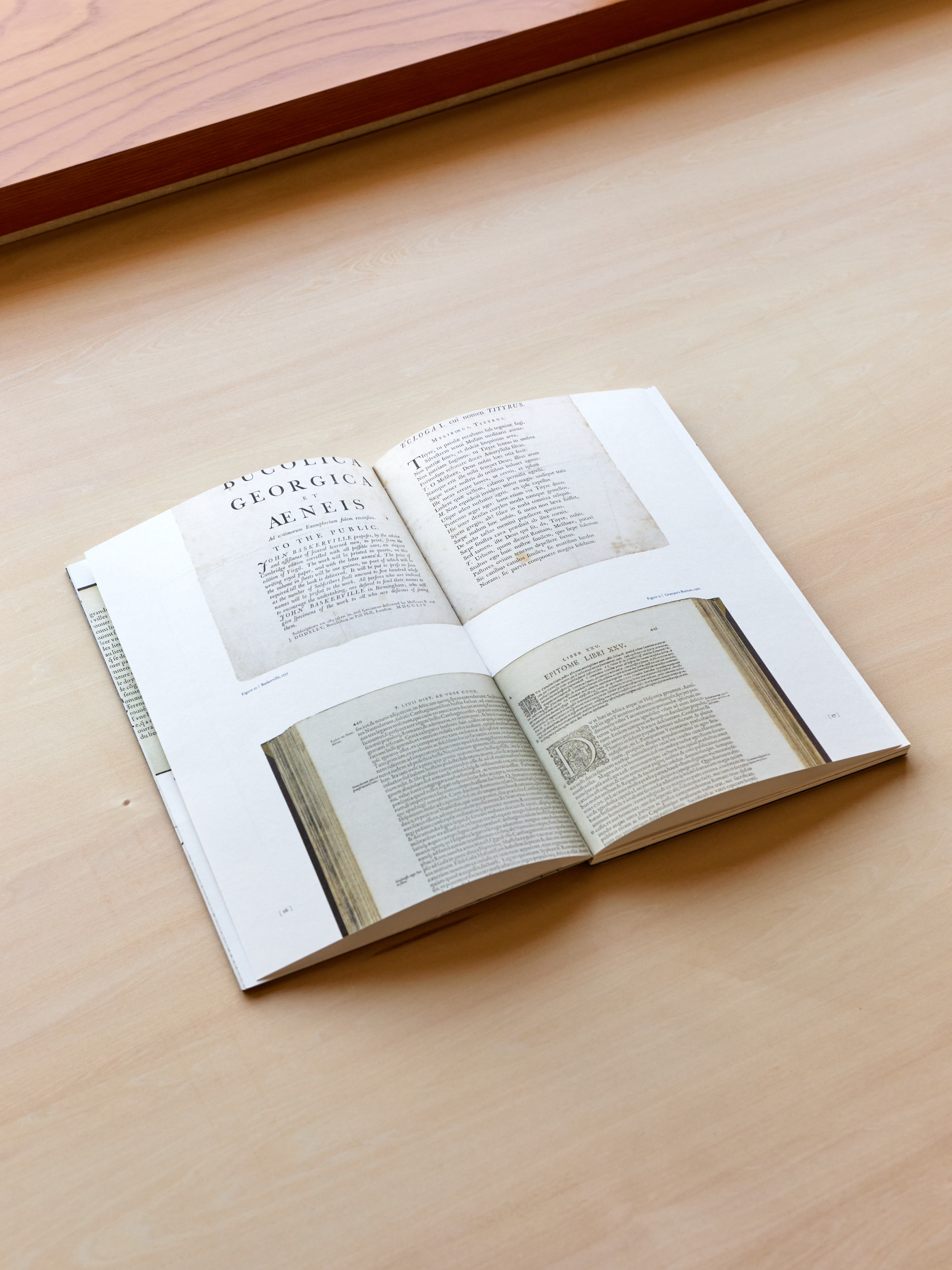 Basic Typography の画像 7