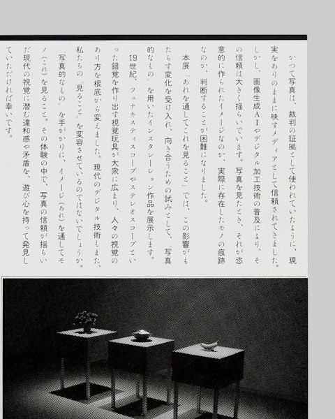 あれを通してこれを見ること Thumbnail 5