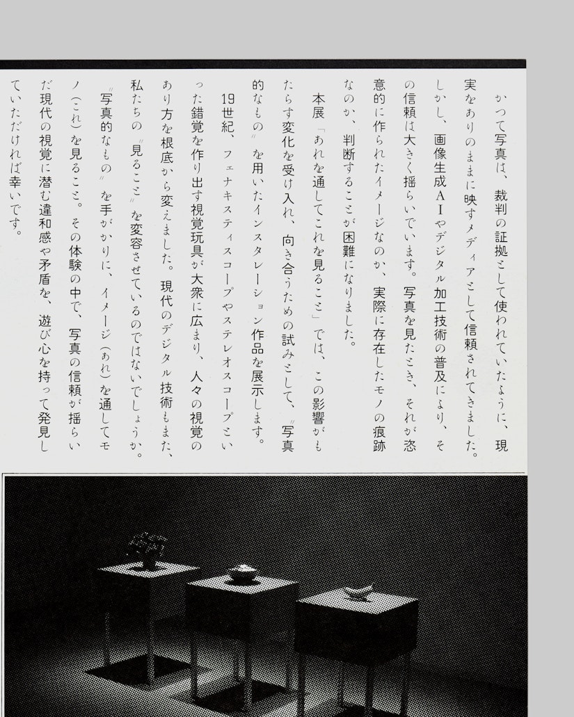 あれを通してこれを見ること の画像 5