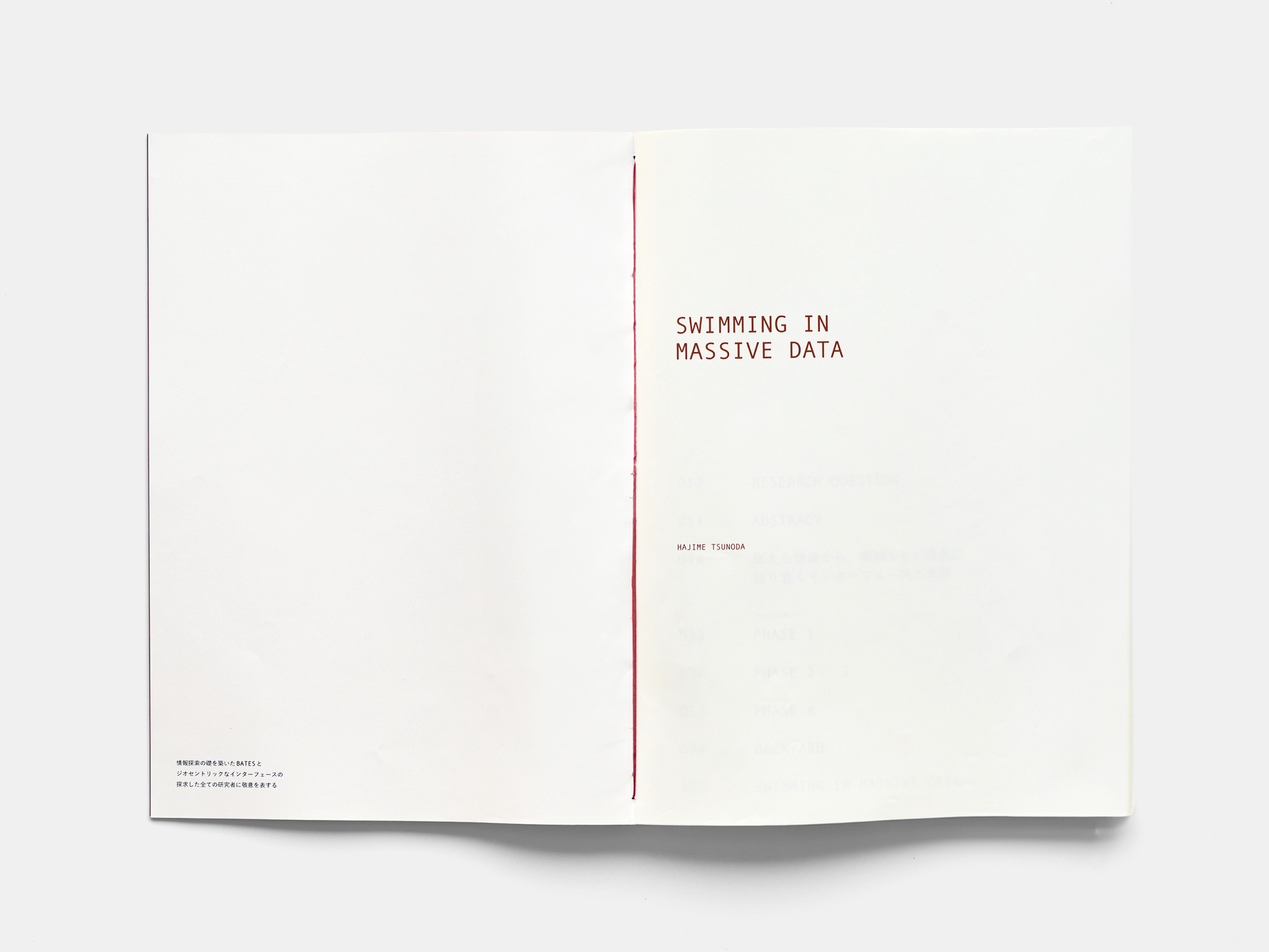 Swimming in Massive Data の画像 5