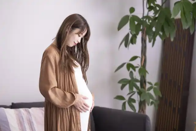 妊婦 女性