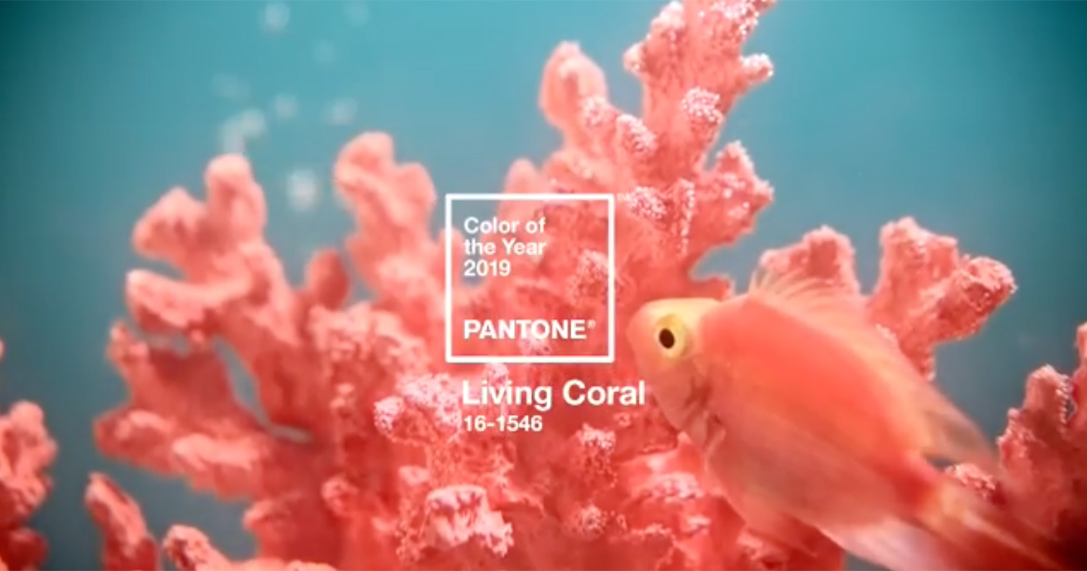 PANTONEが選ぶ2019年の色「Living Coral」を使った配色例 | Web