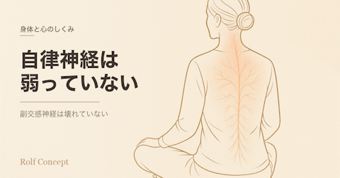 「自律神経が弱っている」と言われたら——副交感神経は壊れていない、「働く機会」が減っているだけ