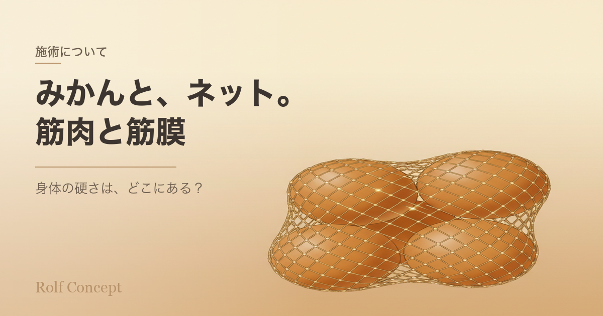 「みかんとネット」で考える身体の硬さ——問題はどこにある？