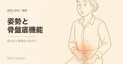 姿勢と骨盤底機能——尿もれと背骨のつながり