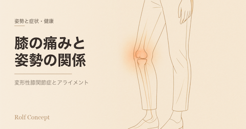 膝の痛みと姿勢のつながり——変形性膝関節症とアライメントのはなし
