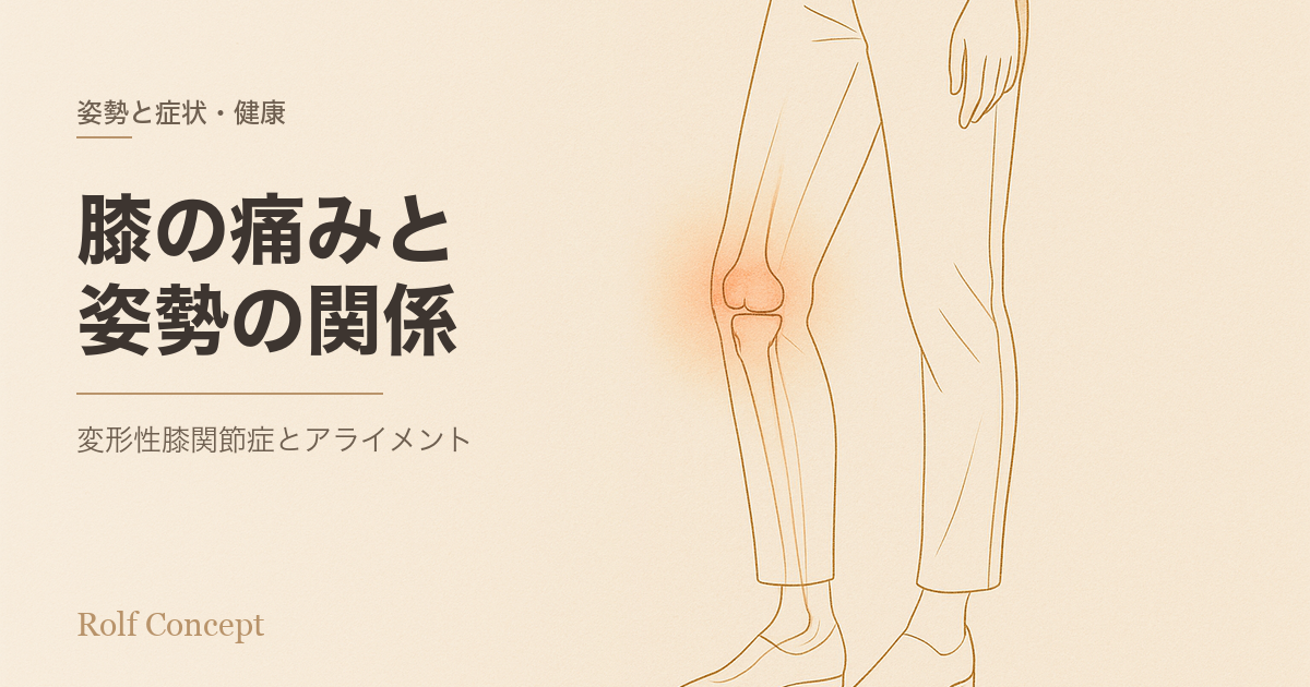 膝の痛みと姿勢のつながり——変形性膝関節症とアライメントのはなし