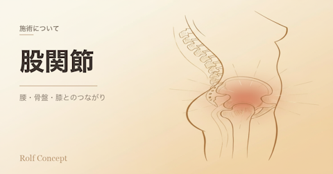 股関節の痛みは「股関節だけ」の問題ではない——腰・骨盤・膝とのつながり