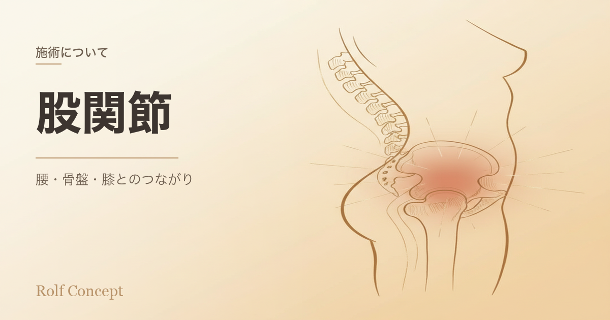 股関節の痛みは「股関節だけ」の問題ではない——腰・骨盤・膝とのつながり