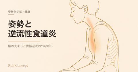姿勢と逆流性食道炎——腰が丸まると、胃も変わる？