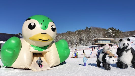 初めてのソリ・スキー