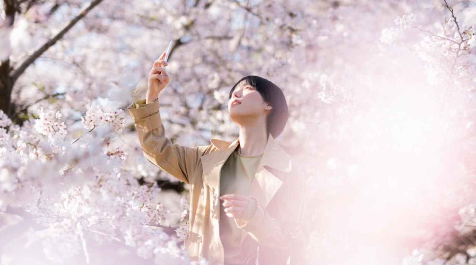 お花見 ひとりで気ままな“ソロ花見”も。歩きながら桜を愛でる“ノンアル花見”が