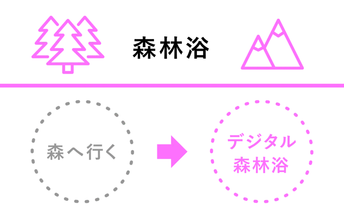 ＜森林浴＞ 森へ行く→デジタル森林浴