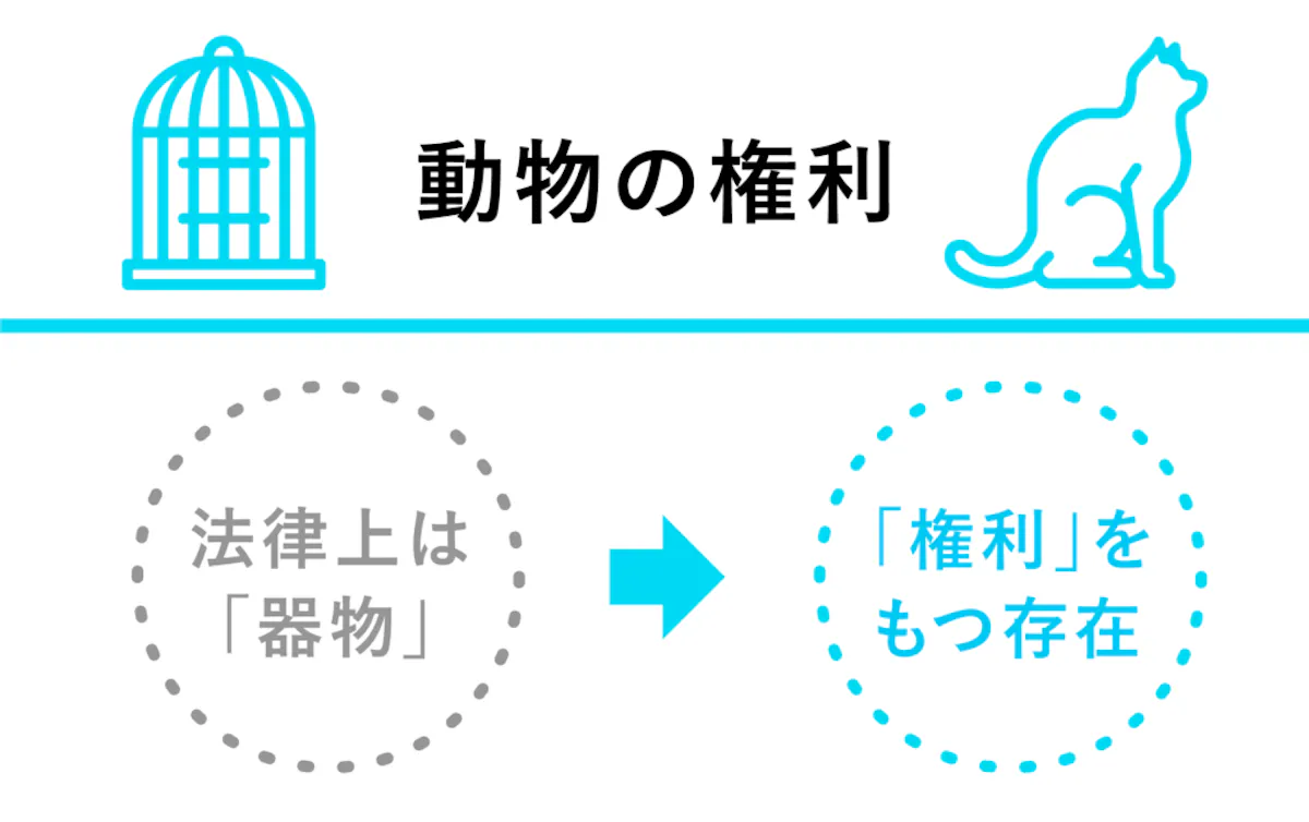 動物の権利：法律上は「器物」→「権利」をもつ存在
