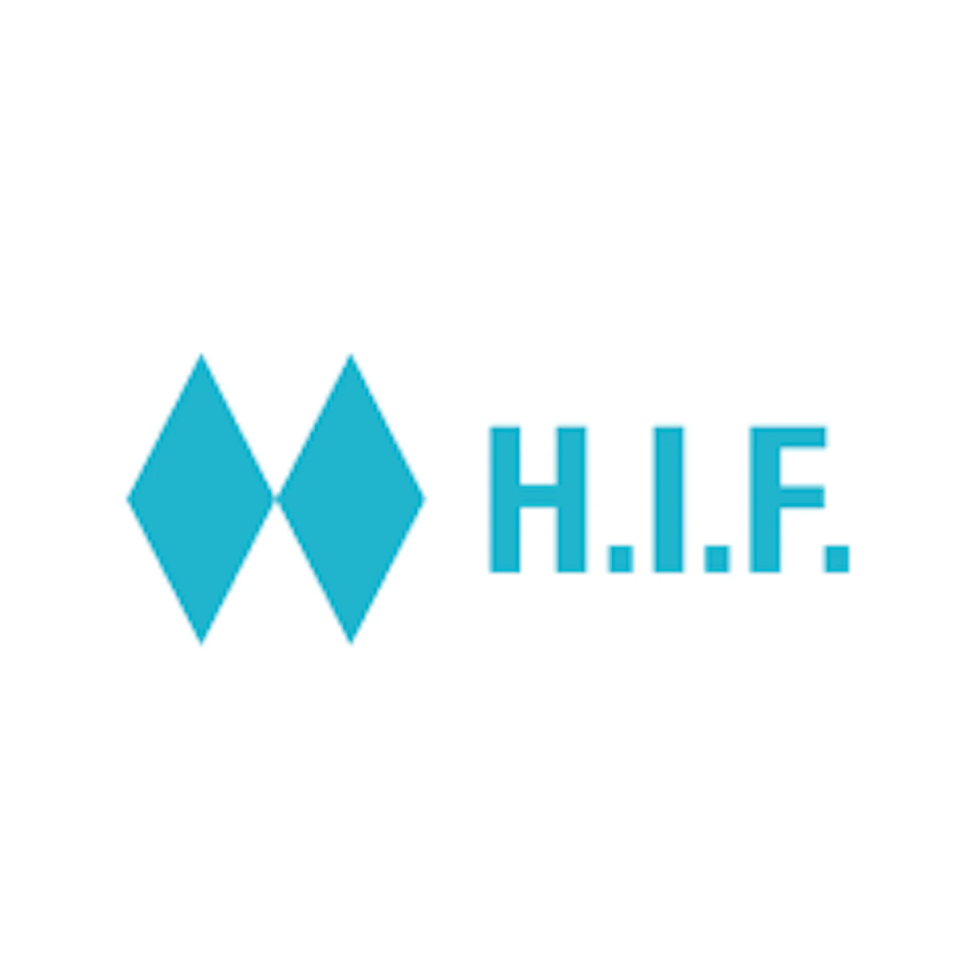 Hybrid Technologies Capital 実績:H.I.F.様