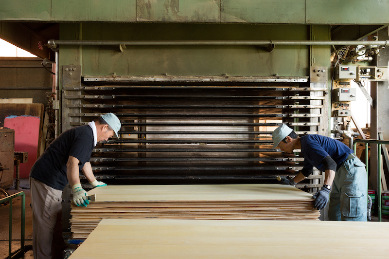 ▲瀧澤ベニヤの合板工場 ／Photo：Takumi Ota