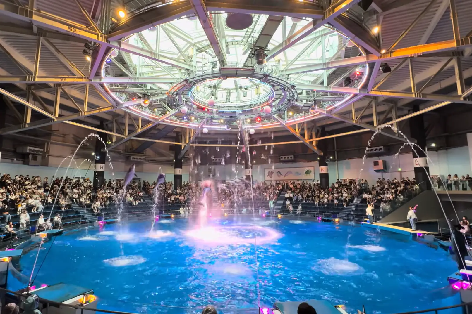 Dolphin show with synchronized fountains at Maxell Aqua Park Shinagawa