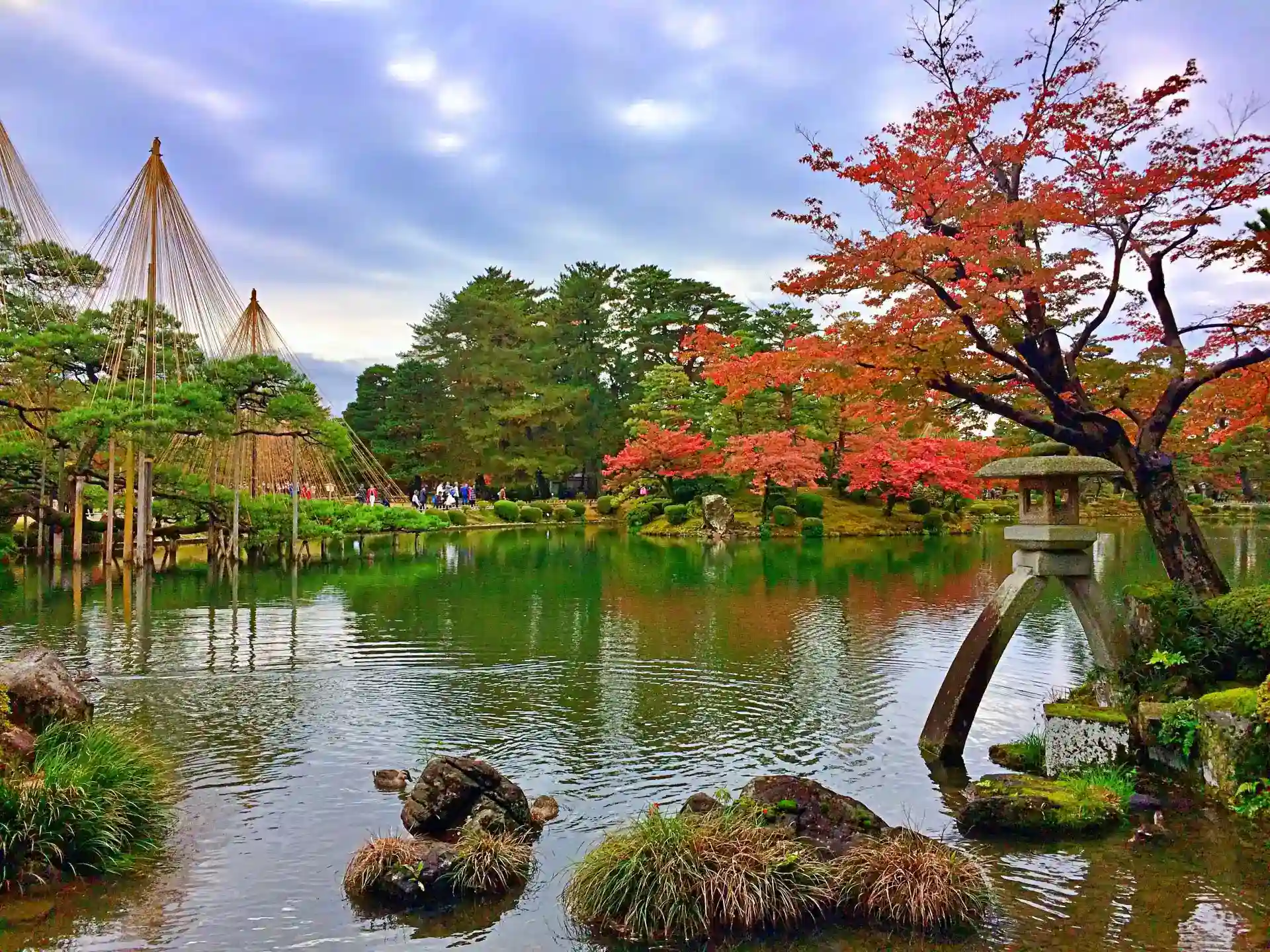 Scenic view of Kenrokuen Garden with red maple leaves and yukitsuri trees in fall
