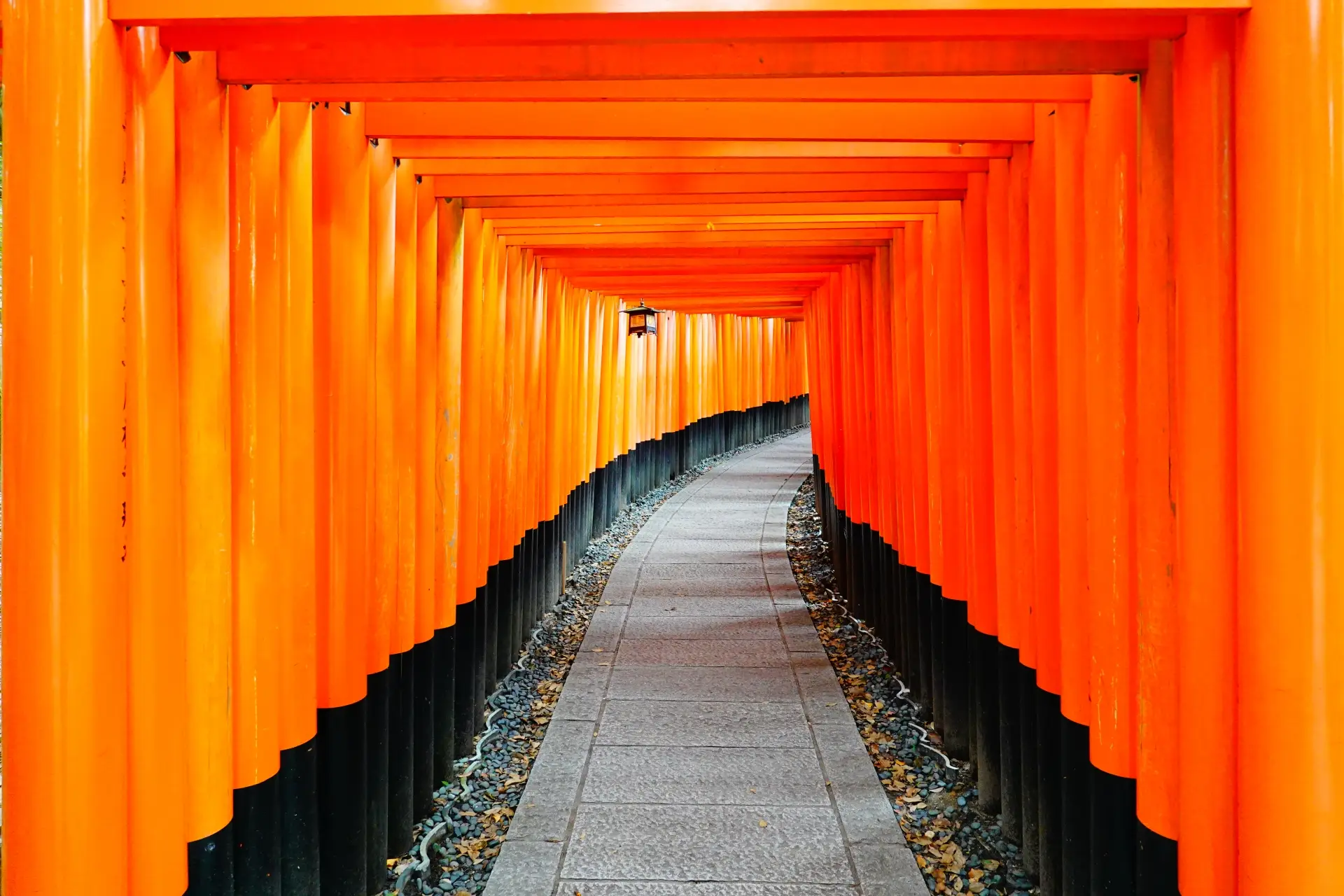 Iconic pathway through the thousand red torii gates at Fushimi Inari Shrine in Kyoto