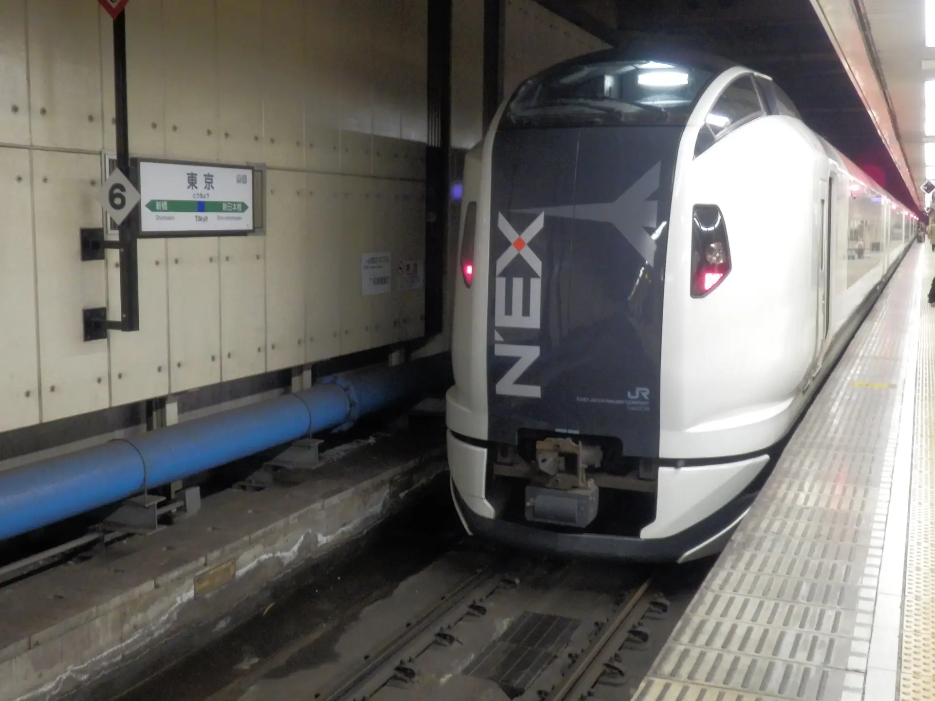 Narita Express at Tokyo Station, airport-bound E259 limited express