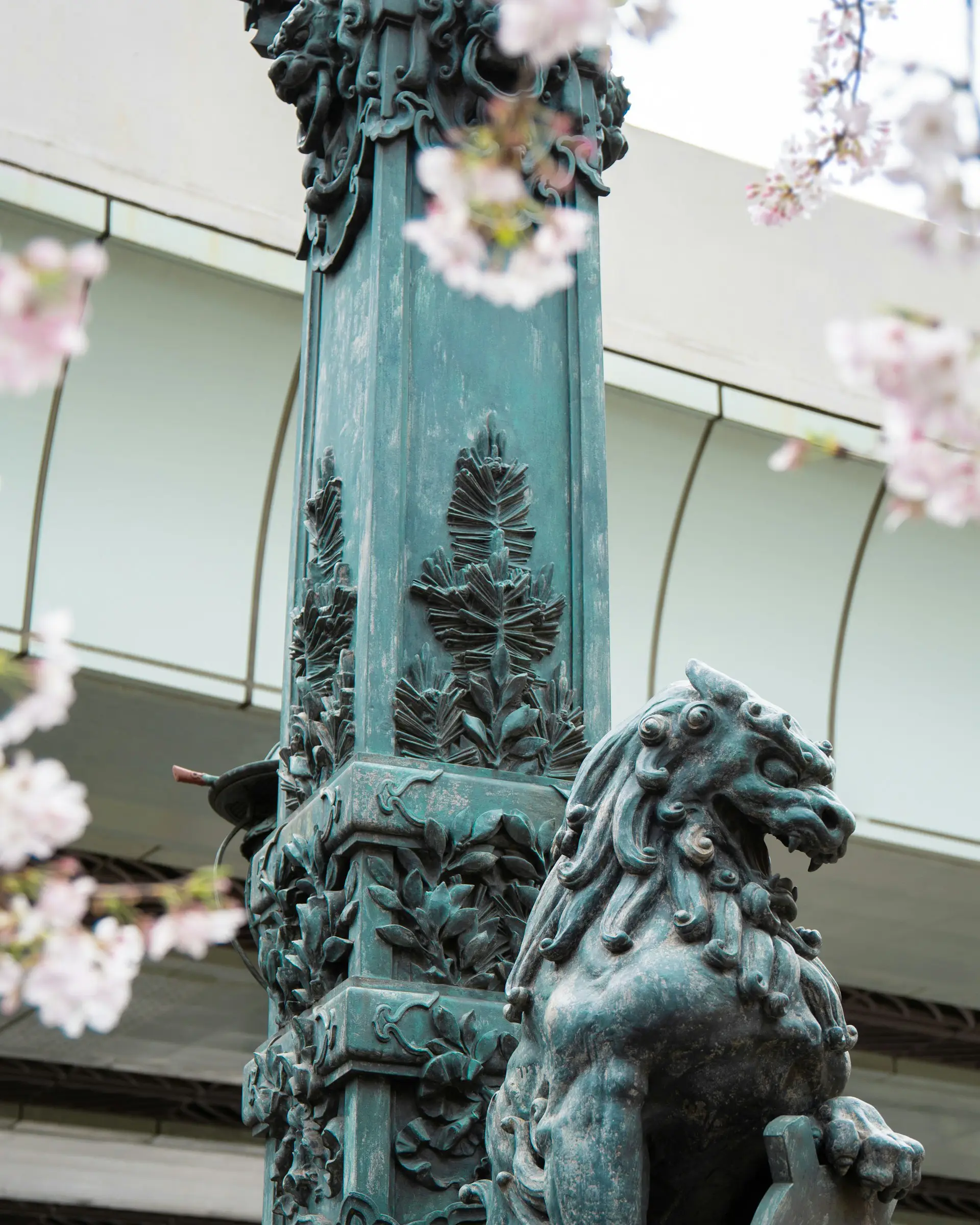 Close-up of historic bronze dragon statue at Nihonbashi with cherry blossoms