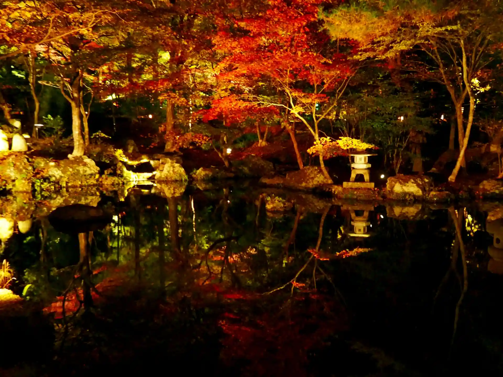 Illuminated autumn leaves reflecting on water at Akiu Onsen in Sendai