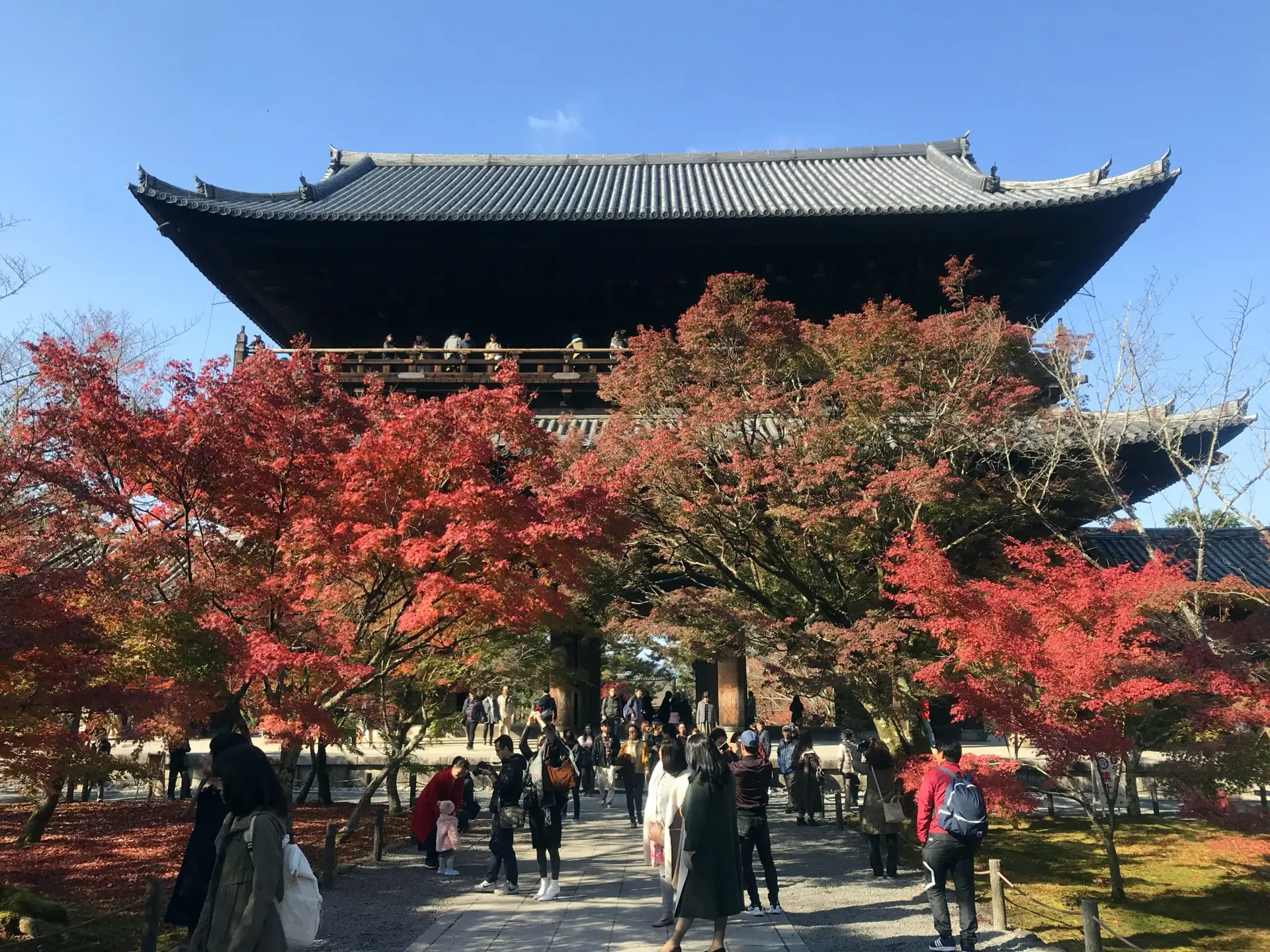 Sanmon gate at Kyoto’s Nanzen-ji Temple framed by colorful autumn leaves