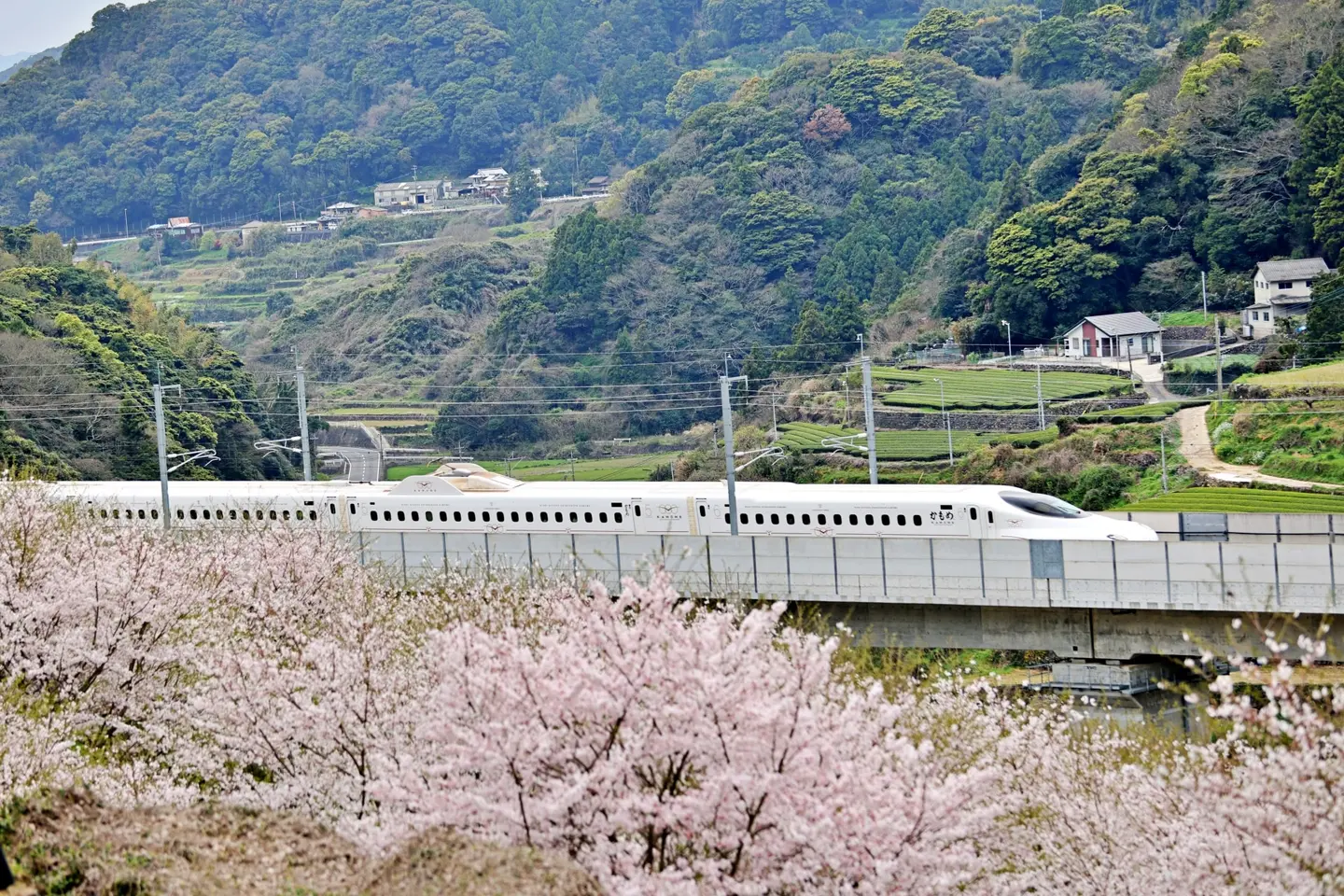 Shinkansen on Japan’s high-speed rail network, used to travel between major cities