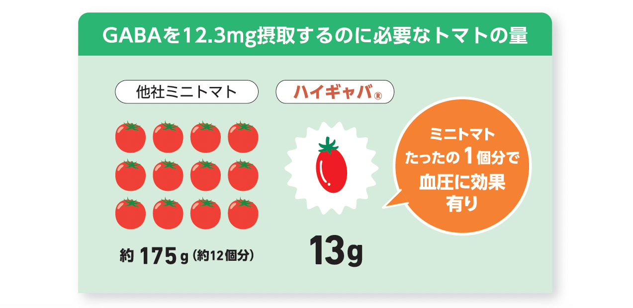 ハイギャバトマトには１粒（約13g）に、市販のミニトマト約12粒分のGABAが含まれる