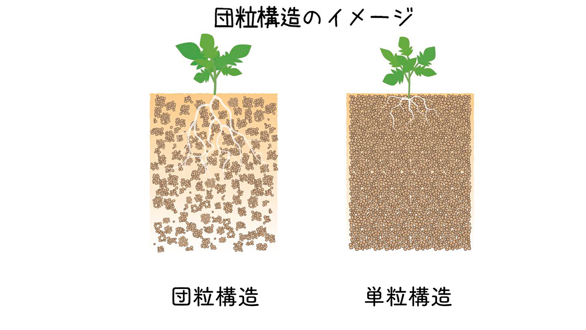 団粒構造の土