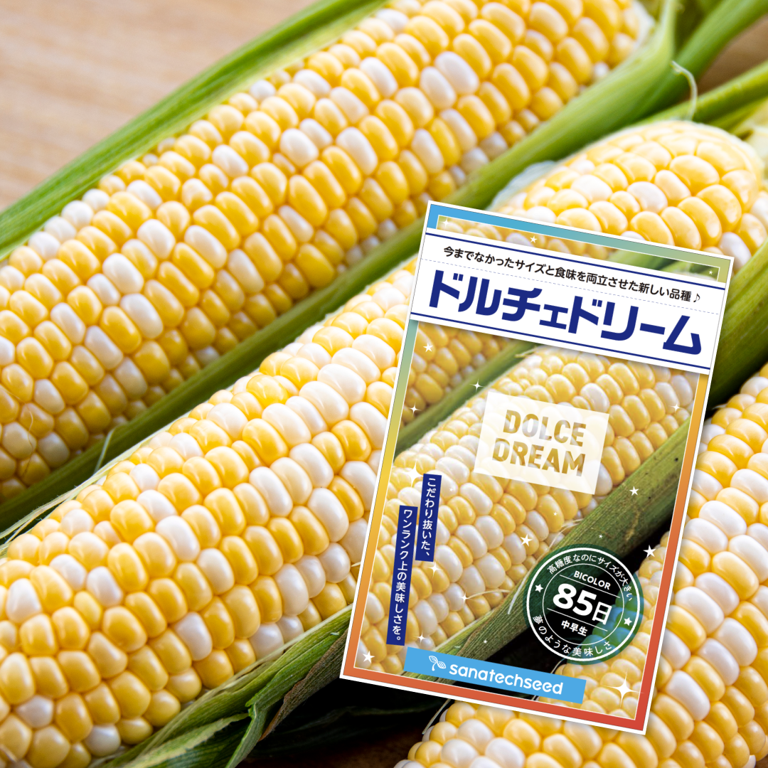 新時代のスイートコーン「ドルチェドリーム®」