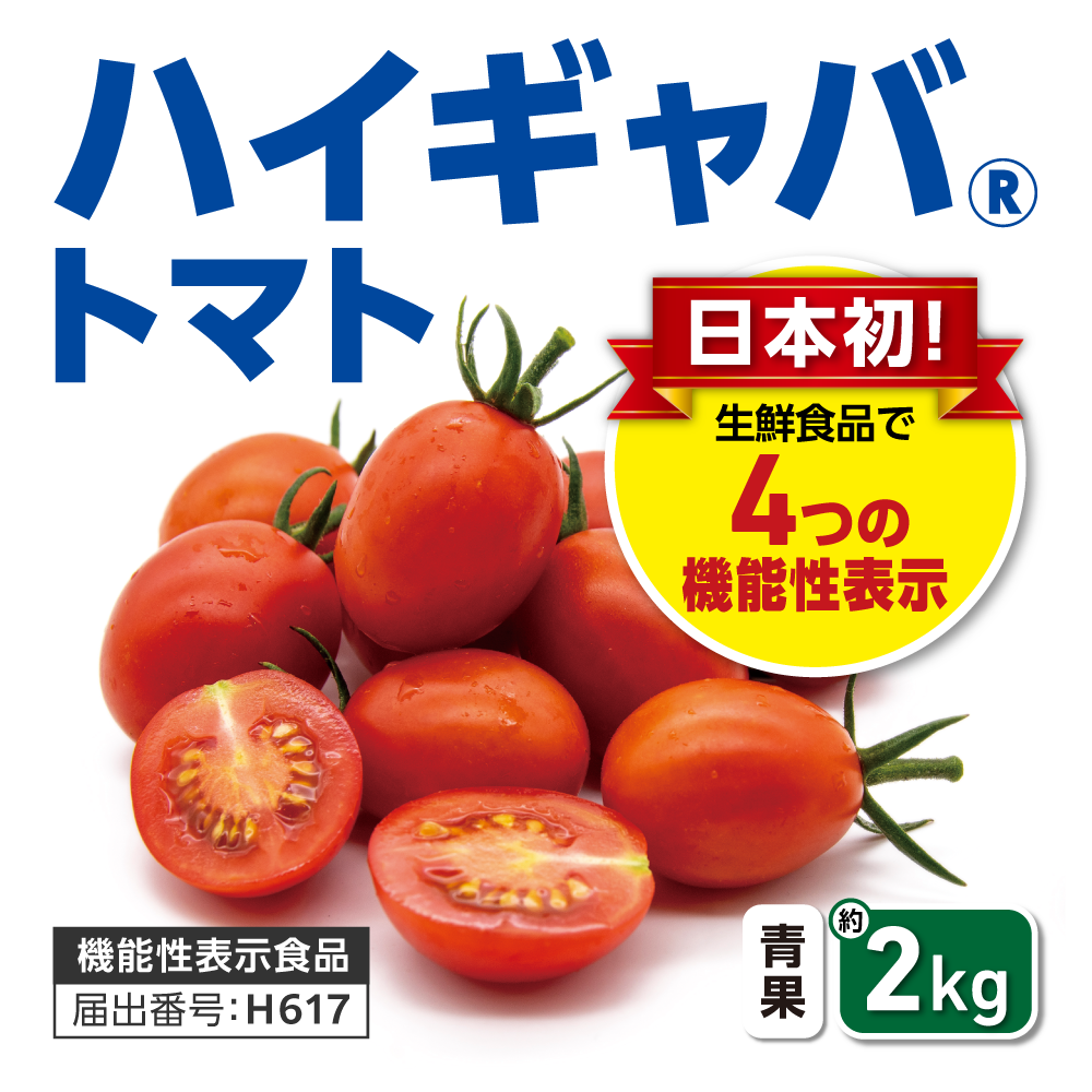 健康野菜と家庭菜園 | 青空トマト学園