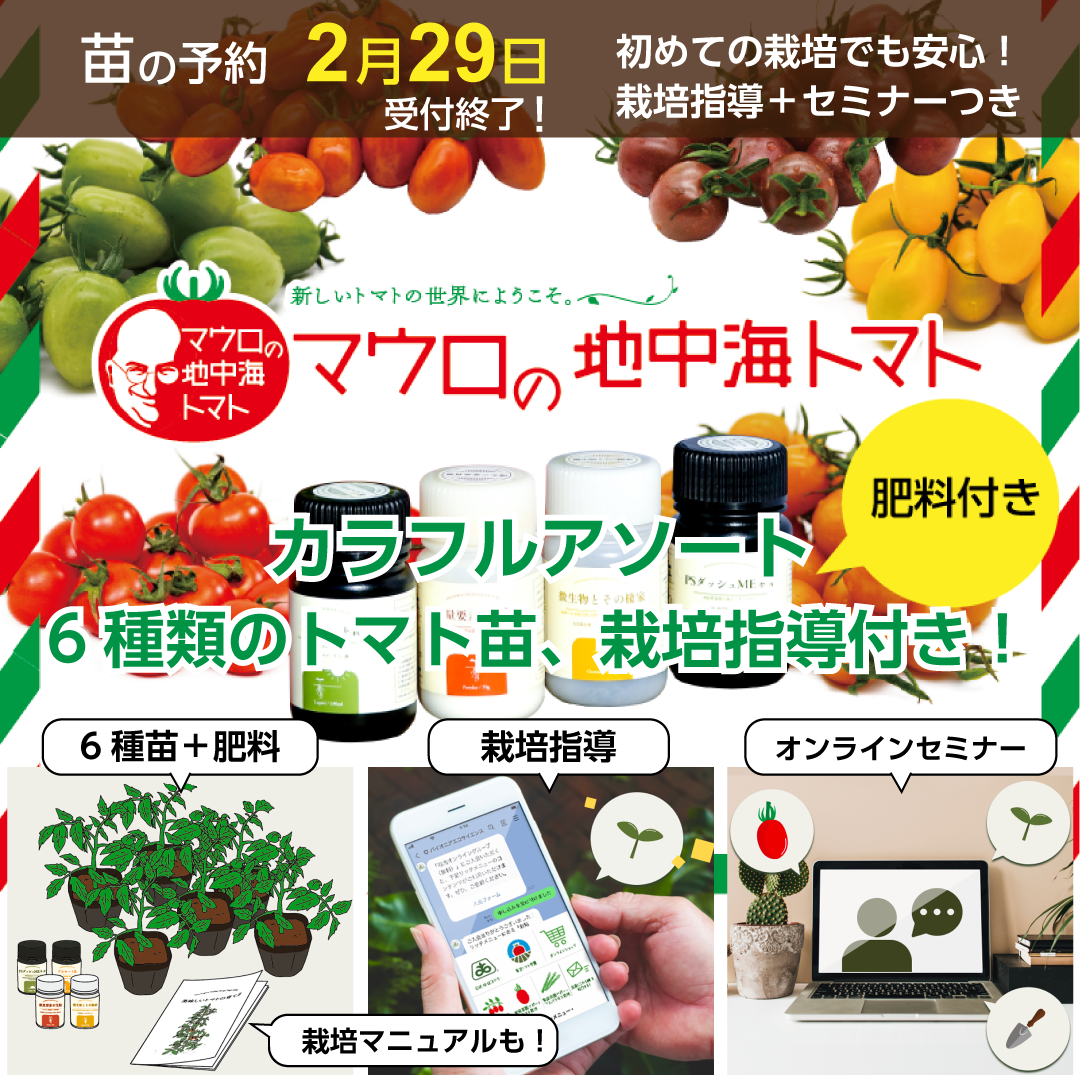 2/29で予約受付終了】カラフルアソート／トマト6品種接木苗＋肥料