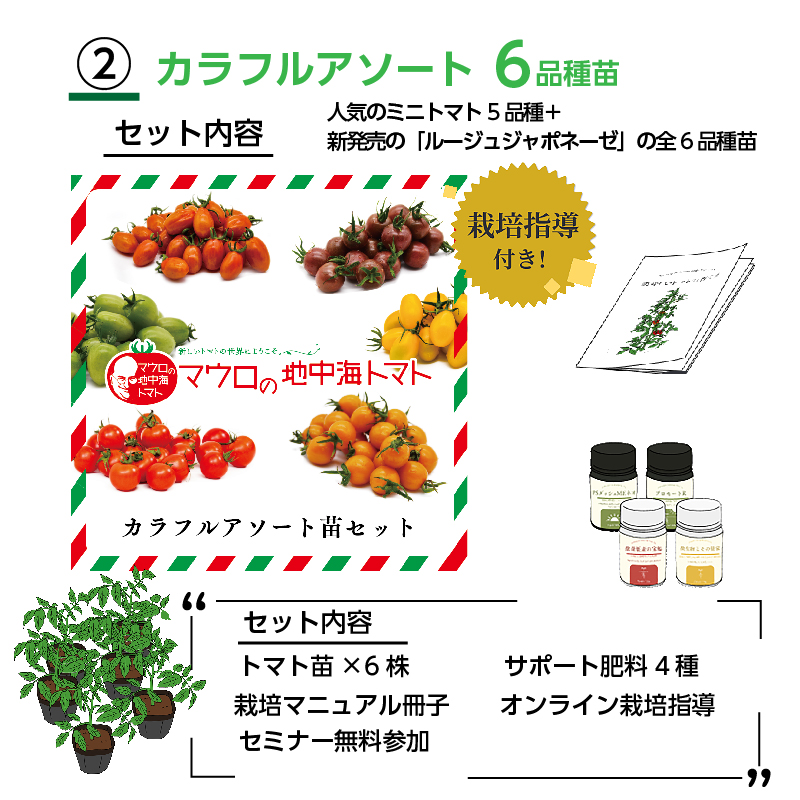 カラフルアソート／トマト6品種