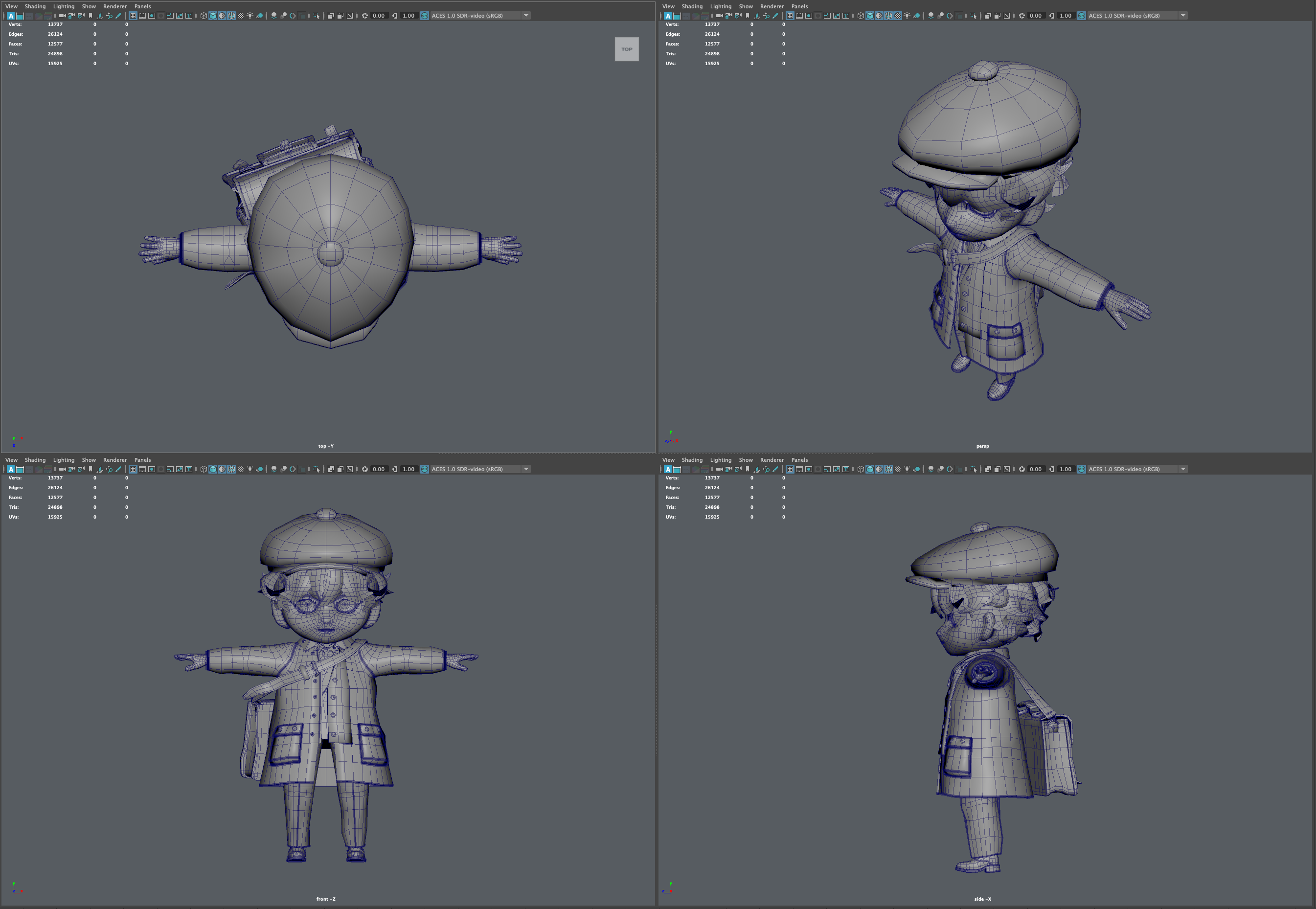 24,898 tris (12,577 faces)