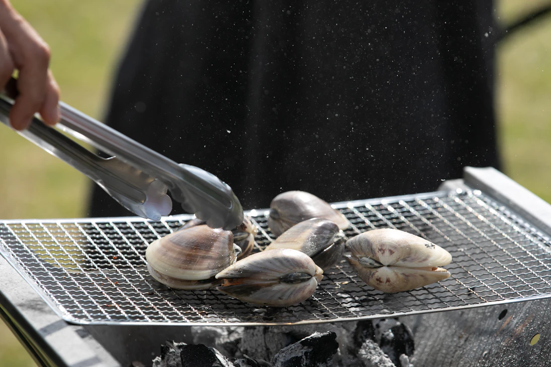 キャンプ・アクティビティ・食を通じて茨城を楽しみ尽くす2日間「IBARAKI CAMP AUTUMN FESTA 2025」開催