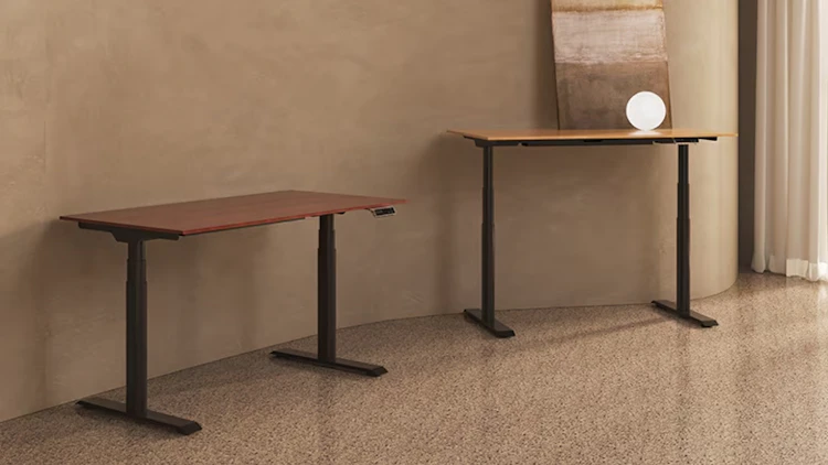 【Flexispot E8レビュー】昇降デスクを使うと、もう前の環境には戻れない のサムネイル