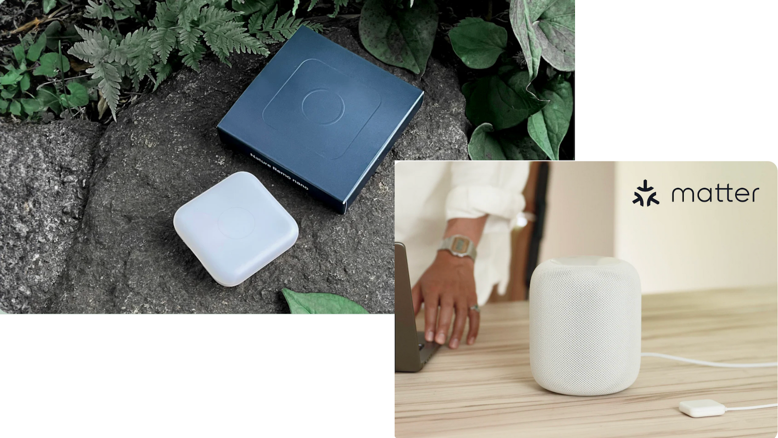 Nature Remo nanoイメージ