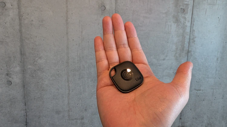 手に載せてみたサイズ感