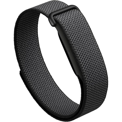 Google Fitbit Air