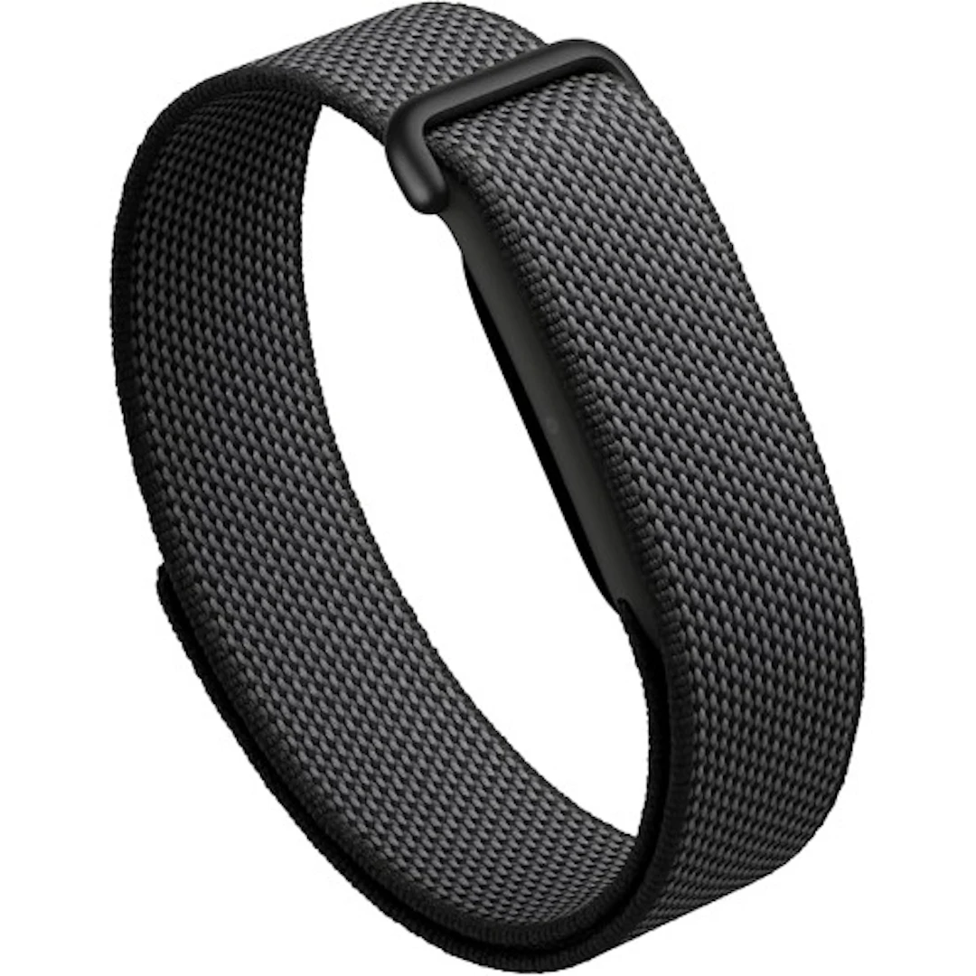 Google Fitbit Air