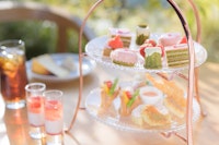 March 11 (Wed) - April 21 (Tue) Matcha x Sakura