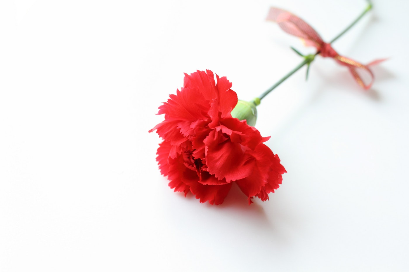 ※写真はイメージです。