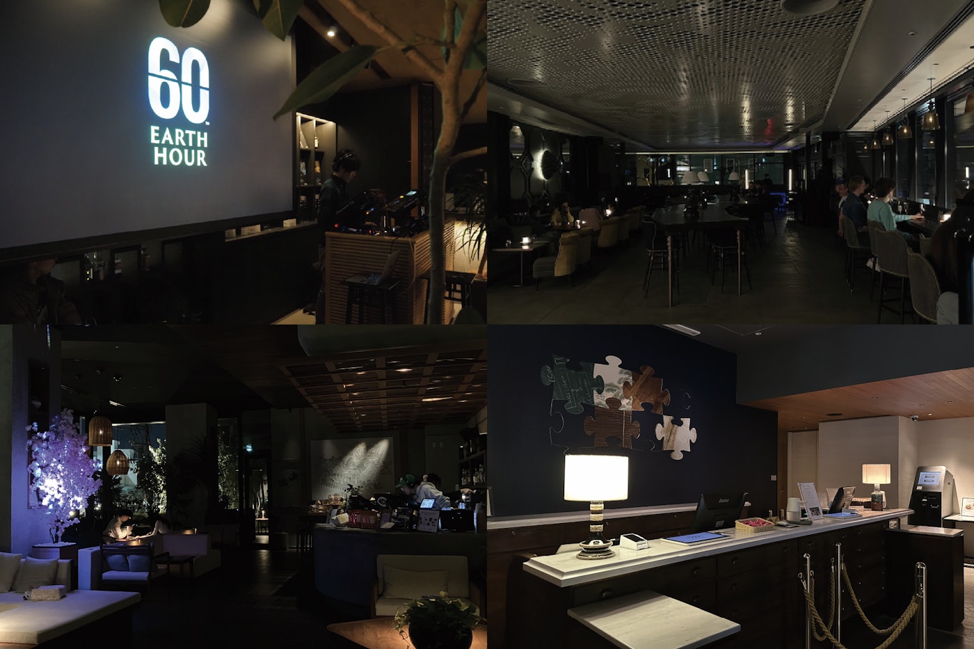 昨年のライトダウンの様子