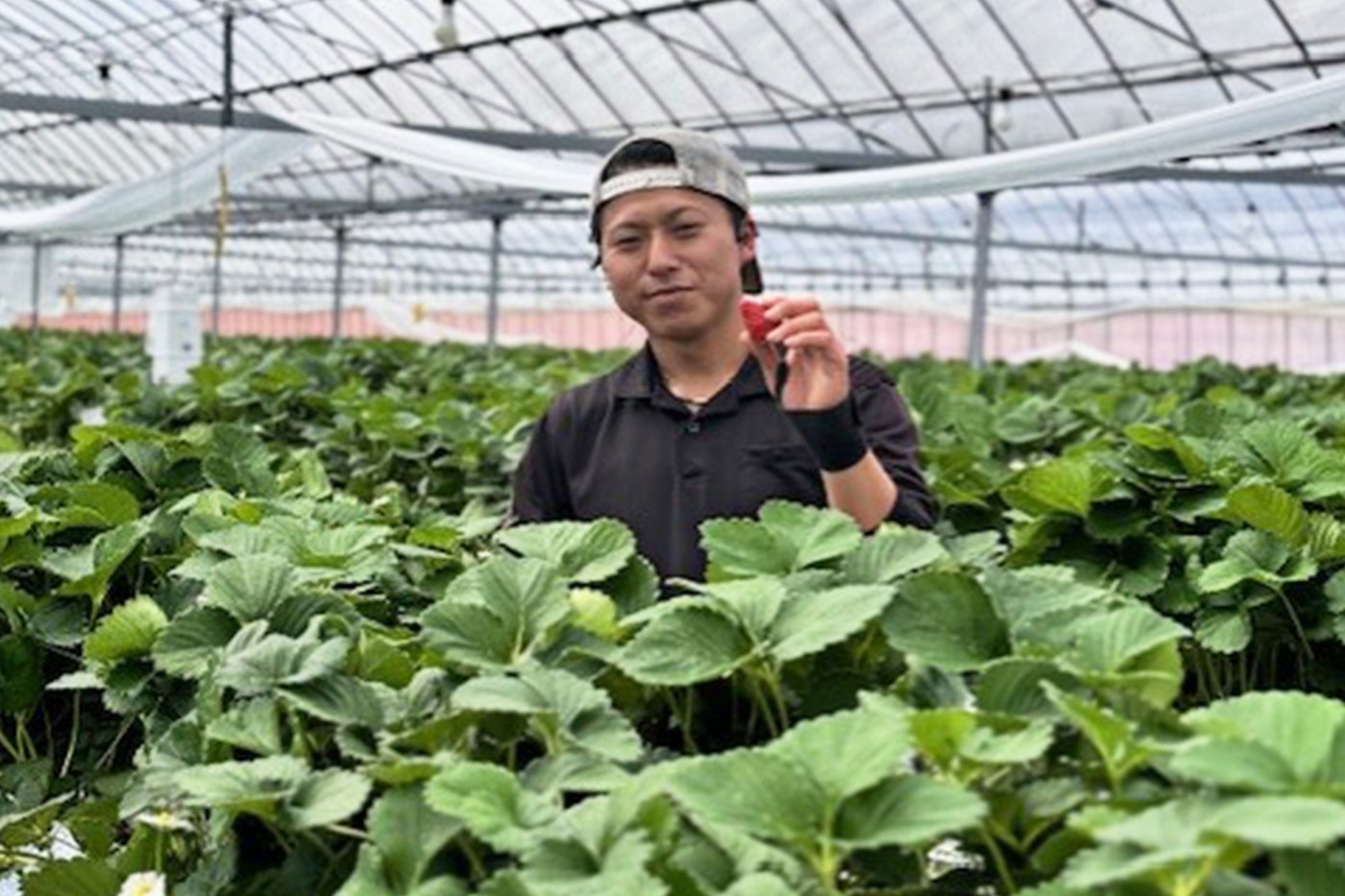 いちご屋 優美園