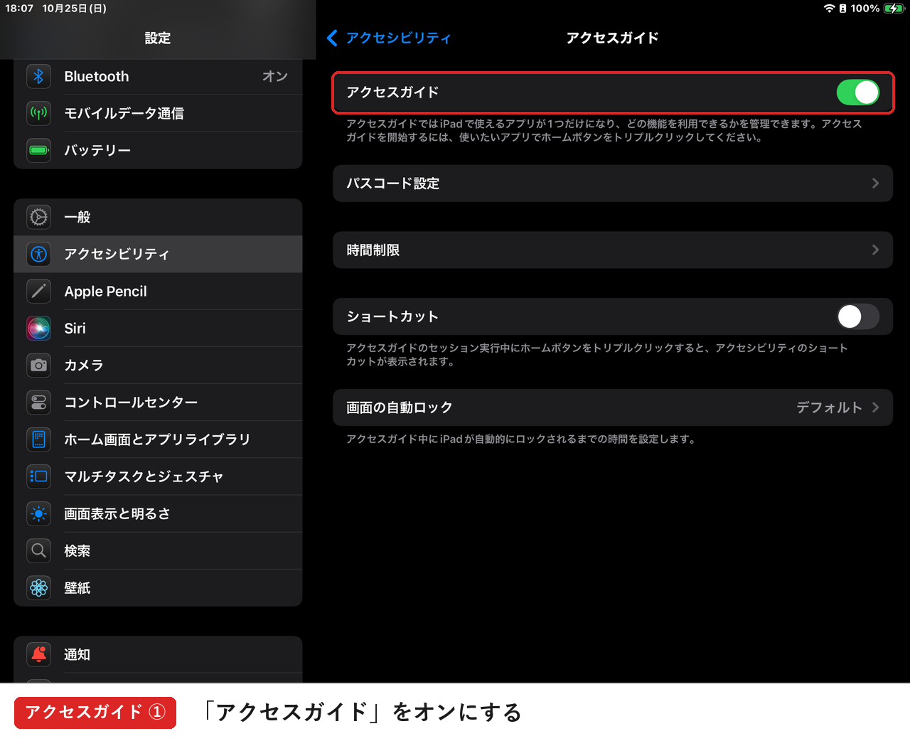 「アクセスガイド」をオンにする