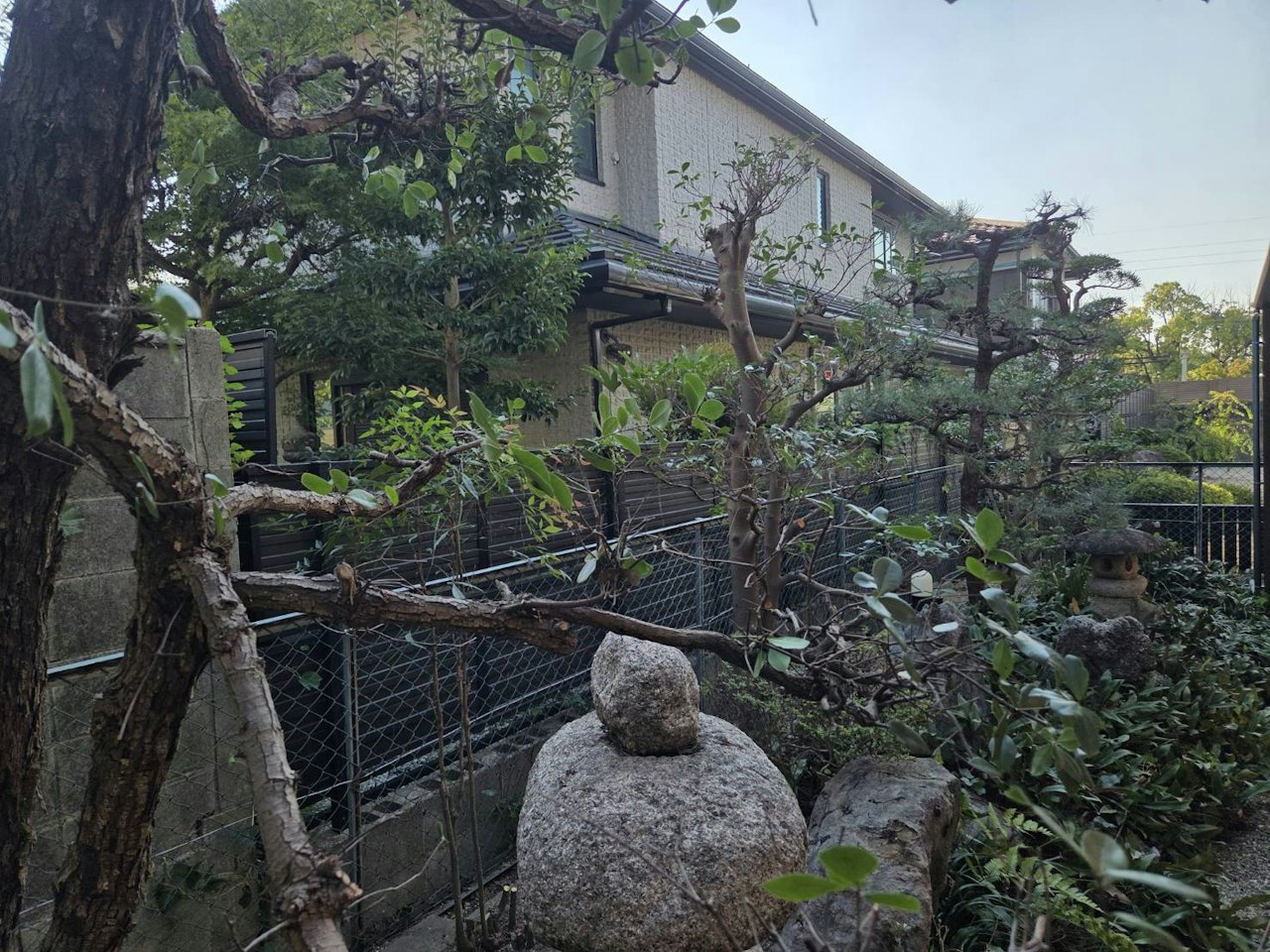 施工後：剪定した庭木と庭の内側
